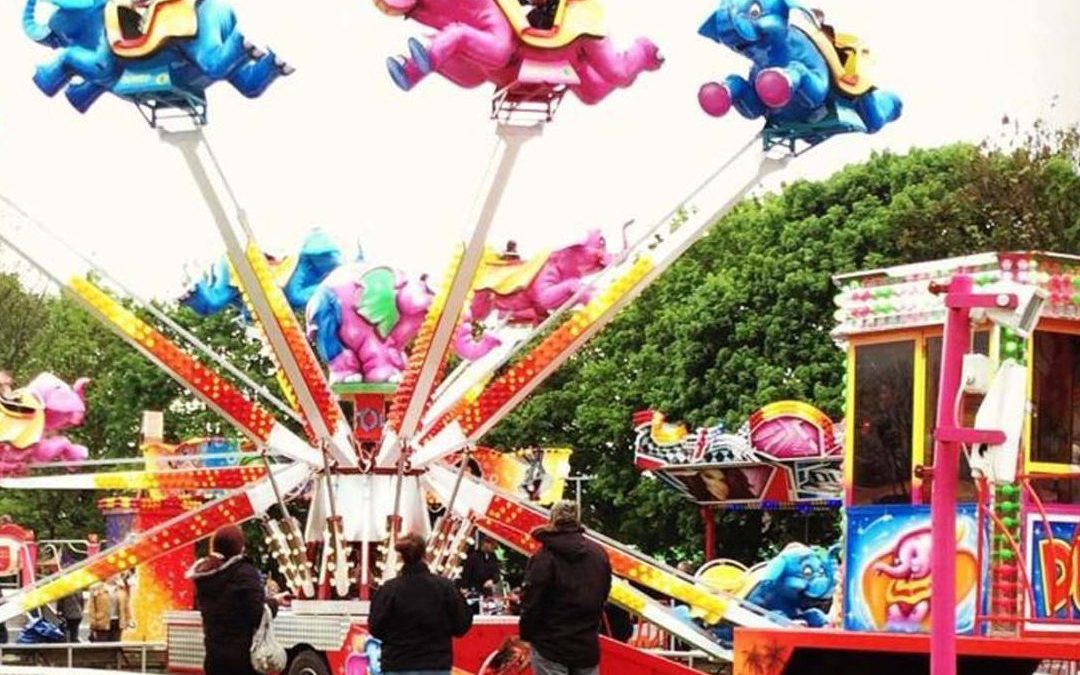 Dumbo Elephants